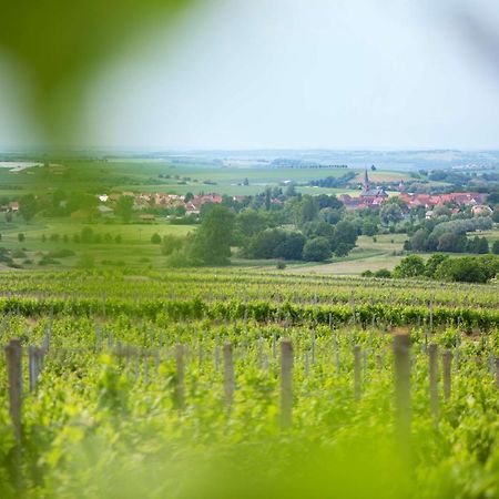 Hotel Weingut Schilling Seinsheim Exteriér fotografie